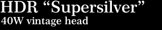 Supersilver logo