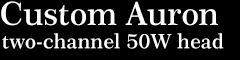 Custom Auron